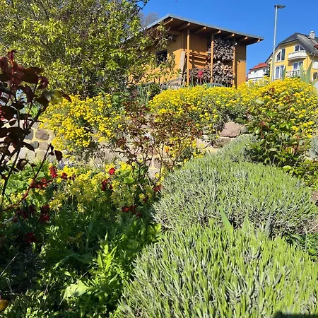 Apartamento Haus Andrea Goehren (Ruegen)