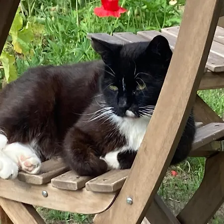 Apartamento Haus Andrea